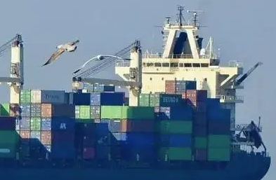 天津貨代公司帶您了解貨代公司的主要業(yè)務(wù)有哪些？