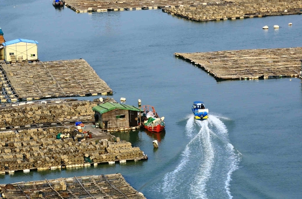 天津貨代行業(yè)在發(fā)展過程中，逐漸形成了獨特的服務(wù)特色和優(yōu)勢