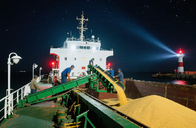 國際貨運代理：海運 / 空運 / 陸運全航線，訂艙到派送一站搞定